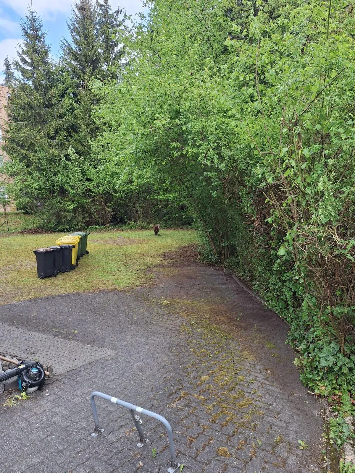 Gepflegte Grünanlage mit gereinigtem Weg
