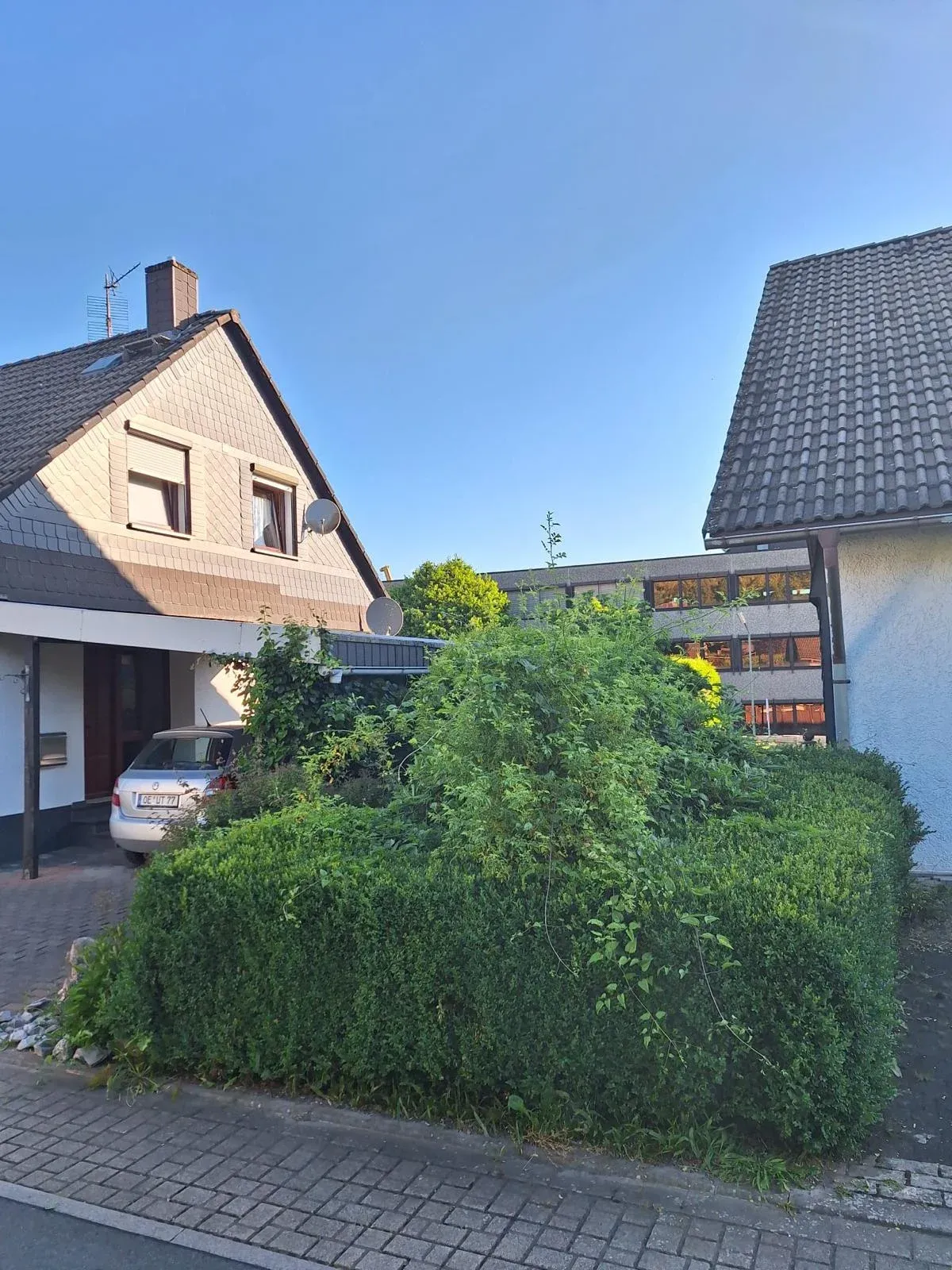 Verwachsener Vorgarten vor der Neugestaltung