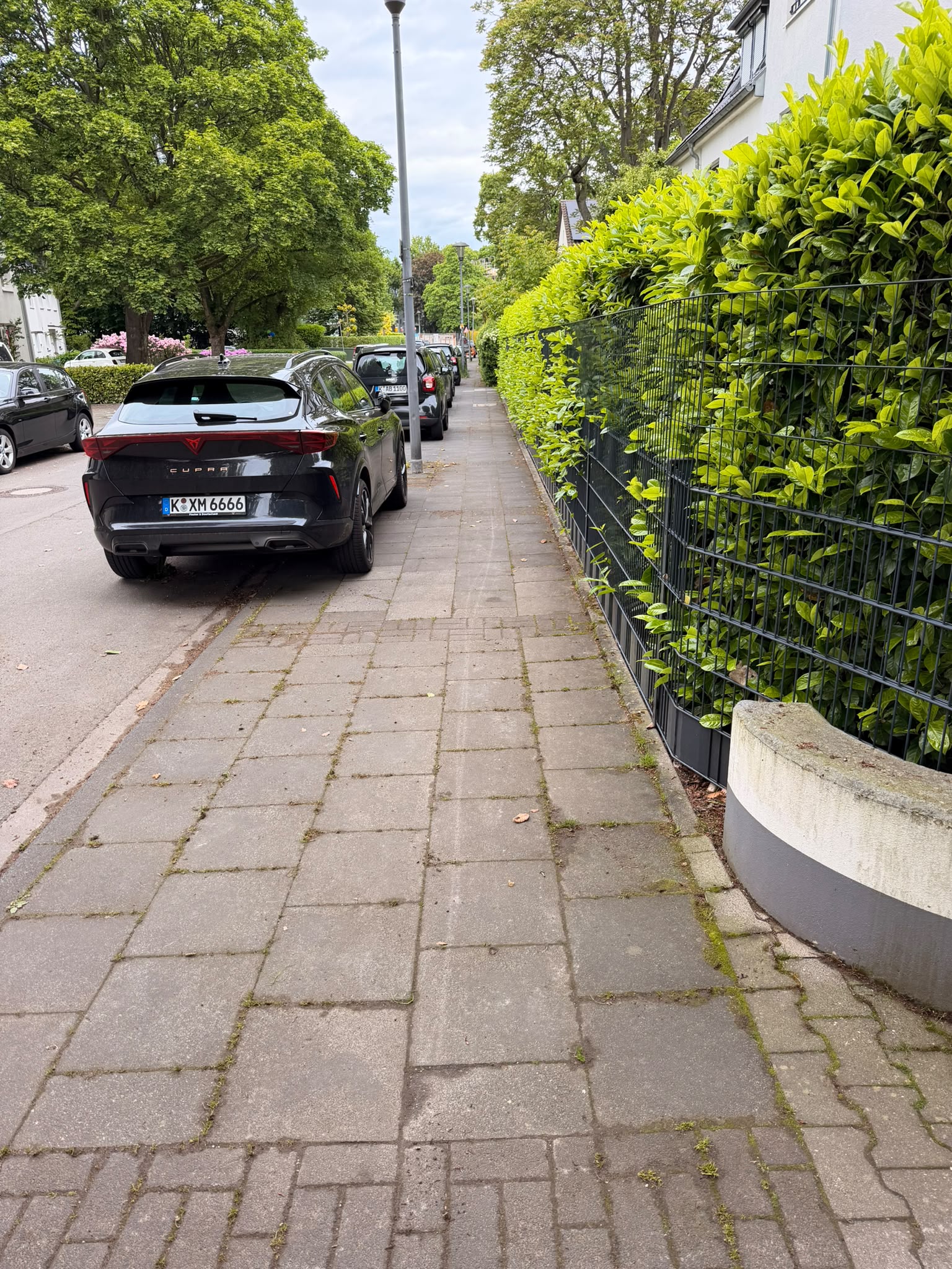 Gleichmäßig geschnittene Hecke entlang eines Bürgersteigs