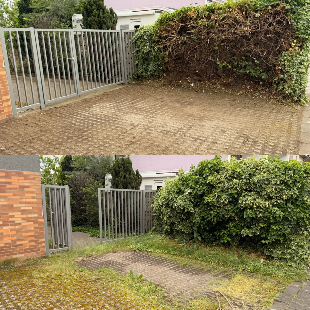Gepflegte Hauszufahrt mit geschnittener Hecke und gereinigten Wegen